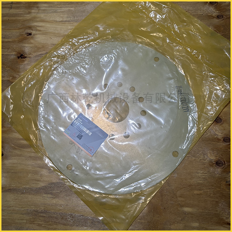 弹性板SP206954/ZF.4681330012